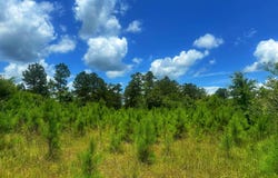 Attala Road 5001, Kosciusko, MS 39090