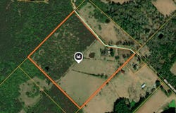 921 Bill Jones Road, Groveton, TX 75845