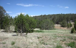 152 Jesse James Road, Edgewood, NM 87015