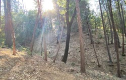 12000 Trapper, Groveland, CA 95321