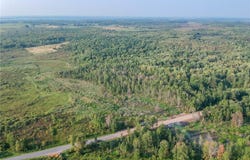 Black Creek Road, Clayton, NY 13624