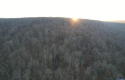100 AC Dry Creek Road, Hollytree, AL 35751