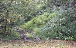 3348 Lower Pompey Branch Road, Shelbiana, KY 41562
