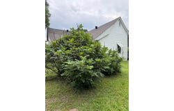 261 MALLARD Rd, Winfield, AL 35594