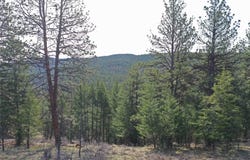 Nhn Brookes Drive, Rexford, MT 59930