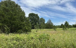 676 County Road 403, Alton, MO 65606