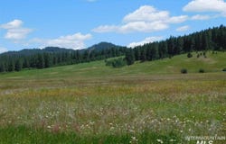 15 Ringo Lane, Donnelly, ID 83615
