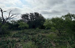 TBD FM 1121, Brady, TX 76825
