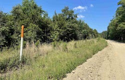 TBD Polk 14 Road, Hatton, AR 71937