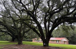 608 R V LINDLEY, MOSELLE, MS 39459