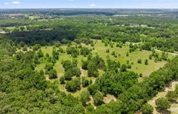 651 SE 195TH AVENUE, WILLISTON, FL 32696