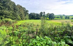 5188 State Route 775, Patriot, OH 45658