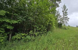 V/L 00 N 9 Road, Mesick, MI 49668