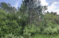 Lot 14 Summit View, Ironwood, MI 49938