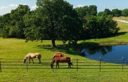 11164 N Farm Road 99, Willard, MO 65781