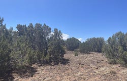 148 Alaska Avenue, Concho, AZ 85924