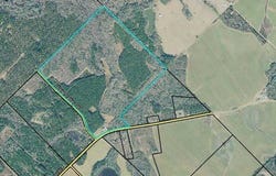 391 Cannon, Hawkinsville, GA 31036