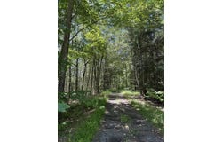 10 Pine Way, Newfoundland, PA 18445