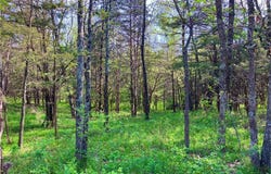2750 Estates Drive, Versailles, MO 65084