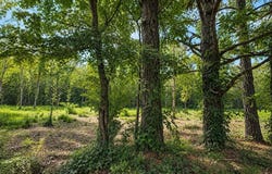 1425 Firefly Lane, Ardmore, OK 73401