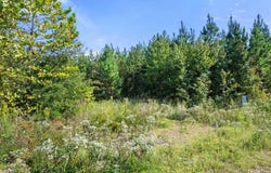 50 S Holland Trail, Broken Bow, OK 74728