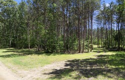 7.75 Acres Scout Road, Mears, MI 49436