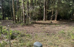 Summerbell DR, Florence, OR 97439