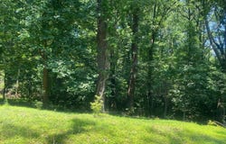 LOT 17A1 TIMBER LN, BLUEMONT, VA 20135
