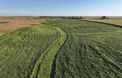180th Street, Washington, IA 52353