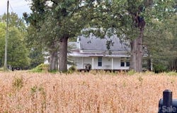 292 Williamsburg Road, Olin, NC 28660