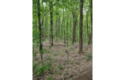 00 Hidden Meadow Rd, Williamstown, NY 13493