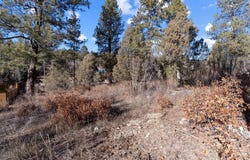 93 Manitou Lane, Durango, CO 81301