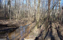 0 Fears, Rutledge, GA 30663