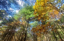 L25 Fischer Road, Kinderhook, NY 12106