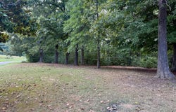 255 County Road 460, Englewood, TN 37329