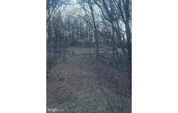 LOST RUN, LEVELS, WV 25431