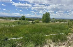 Highway 50, Olathe, CO 81425