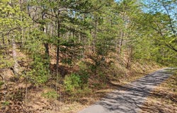 6 Fenix Way, Hot Springs Village, AR 71909