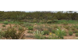 Other, Barstow, TX 79719