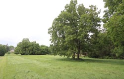 WEELAUNEE Drive, PICKETT, WI 54964