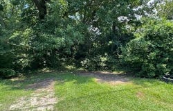 1005 Broad Street, Windsor, NC 27983