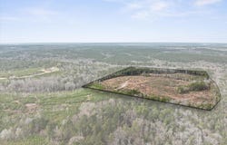 320 R Thompson Rd., Lumberton, MS 39455