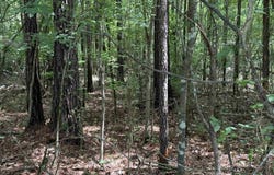 0 EASTVIEW AVENUE, HOKES BLUFF, AL 35903