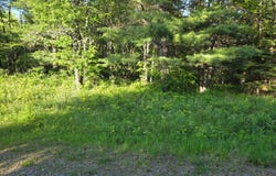 On NORTH WINDS LN, Phelps, WI 54554