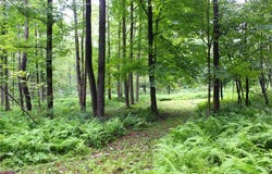 0 SR 258, Liberty Twp, PA 16127