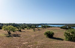2444 Bonita Vista Drive, Justiceburg, TX 79330
