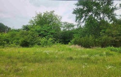 Clarksville, AR 72830