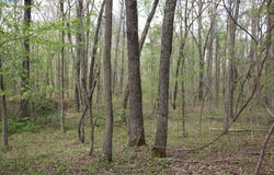 2787 BRYAN Rd, Michigan City, MS 38647