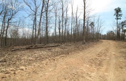 0 Madison CR 411 (121b), Fredericktown, MO 63645