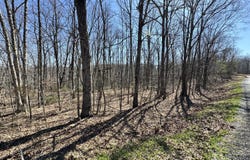 Honey Springs Rd, Crawford, TN 38554